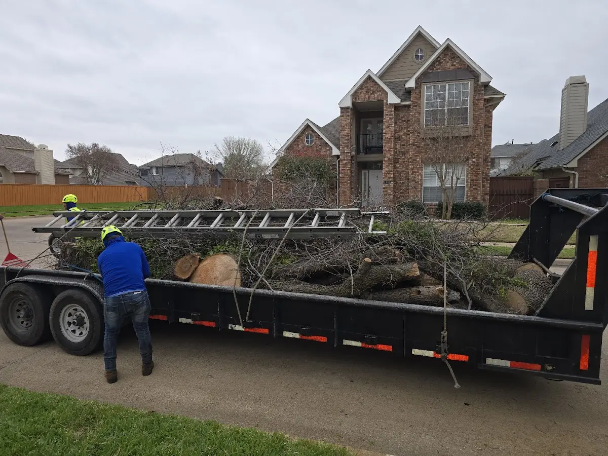 Expert Tree Pest Control with proper safety equipment in Dixfield